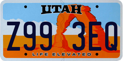 UT license plate Z993EQ