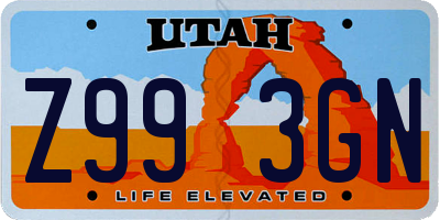 UT license plate Z993GN