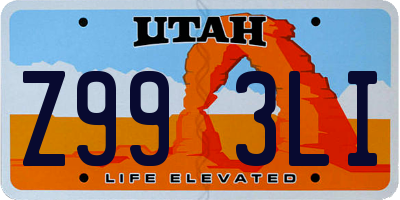 UT license plate Z993LI