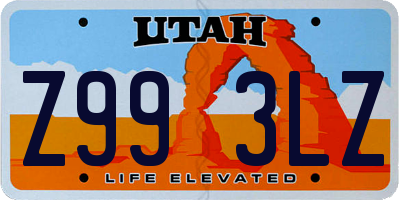 UT license plate Z993LZ