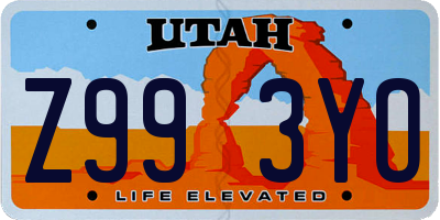 UT license plate Z993YO