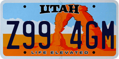 UT license plate Z994GM