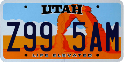 UT license plate Z995AM
