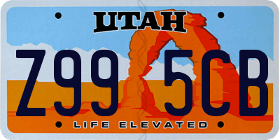 UT license plate Z995CB