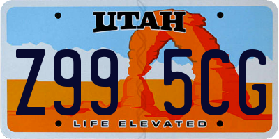 UT license plate Z995CG