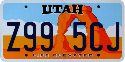 UT license plate Z995CJ