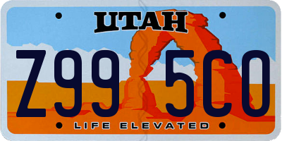 UT license plate Z995CO