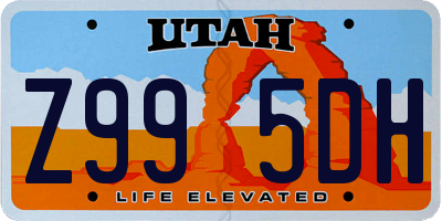 UT license plate Z995DH