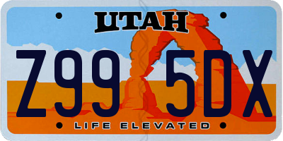 UT license plate Z995DX