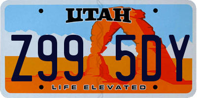 UT license plate Z995DY