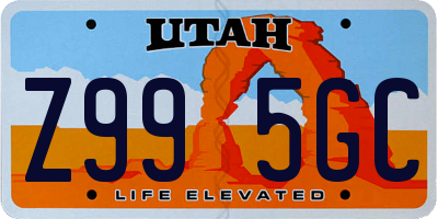 UT license plate Z995GC