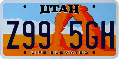 UT license plate Z995GH