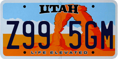 UT license plate Z995GM