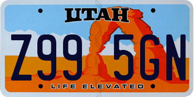 UT license plate Z995GN