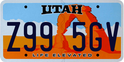 UT license plate Z995GV