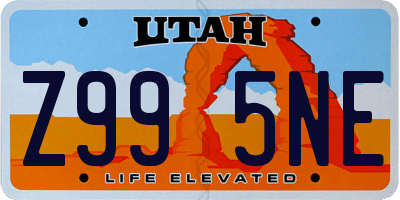 UT license plate Z995NE