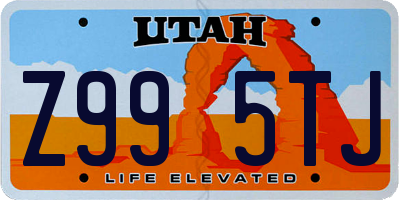 UT license plate Z995TJ