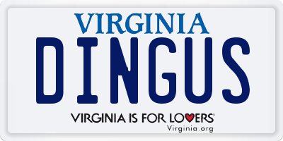 VA license plate DINGUS