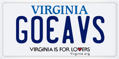 VA license plate GOCAVS