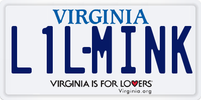 VA license plate L1LMINK