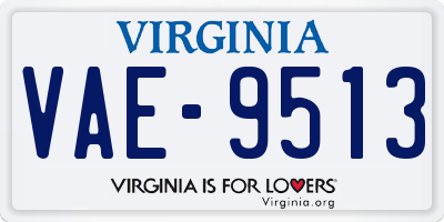 VA license plate VAE9513