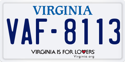 VA license plate VAF8113