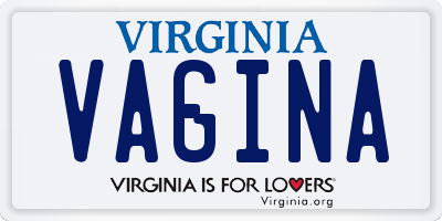 VA license plate VAGINA