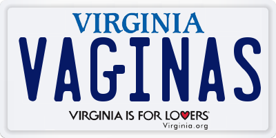 VA license plate VAGINAS