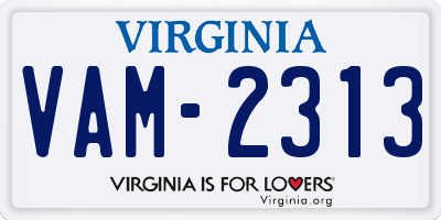 VA license plate VAM2313