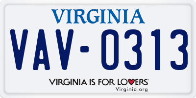 VA license plate VAV0313