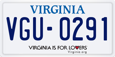 VA license plate VGU0291