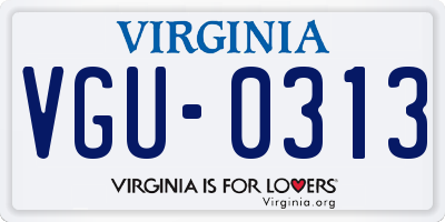 VA license plate VGU0313