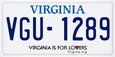 VA license plate VGU1289