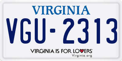 VA license plate VGU2313