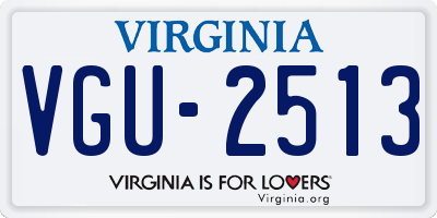 VA license plate VGU2513