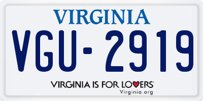 VA license plate VGU2919