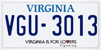 VA license plate VGU3013