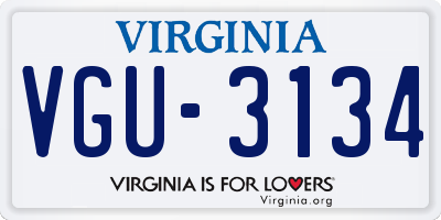 VA license plate VGU3134