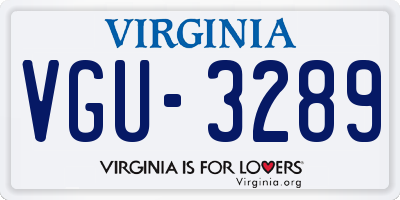 VA license plate VGU3289