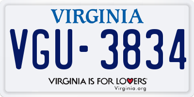VA license plate VGU3834