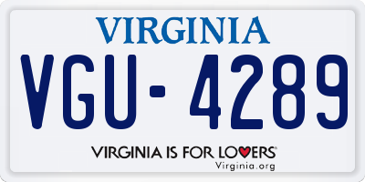 VA license plate VGU4289