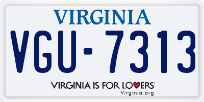 VA license plate VGU7313