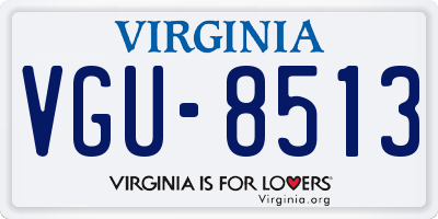 VA license plate VGU8513