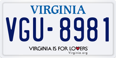 VA license plate VGU8981