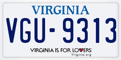 VA license plate VGU9313