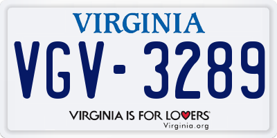 VA license plate VGV3289