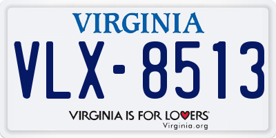 VA license plate VLX8513