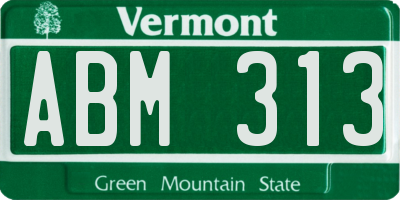 VT license plate ABM313