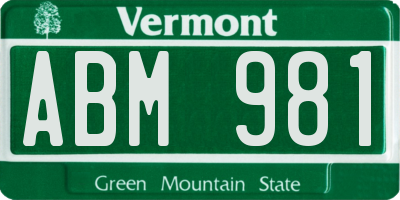 VT license plate ABM981