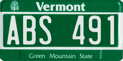 VT license plate ABS491